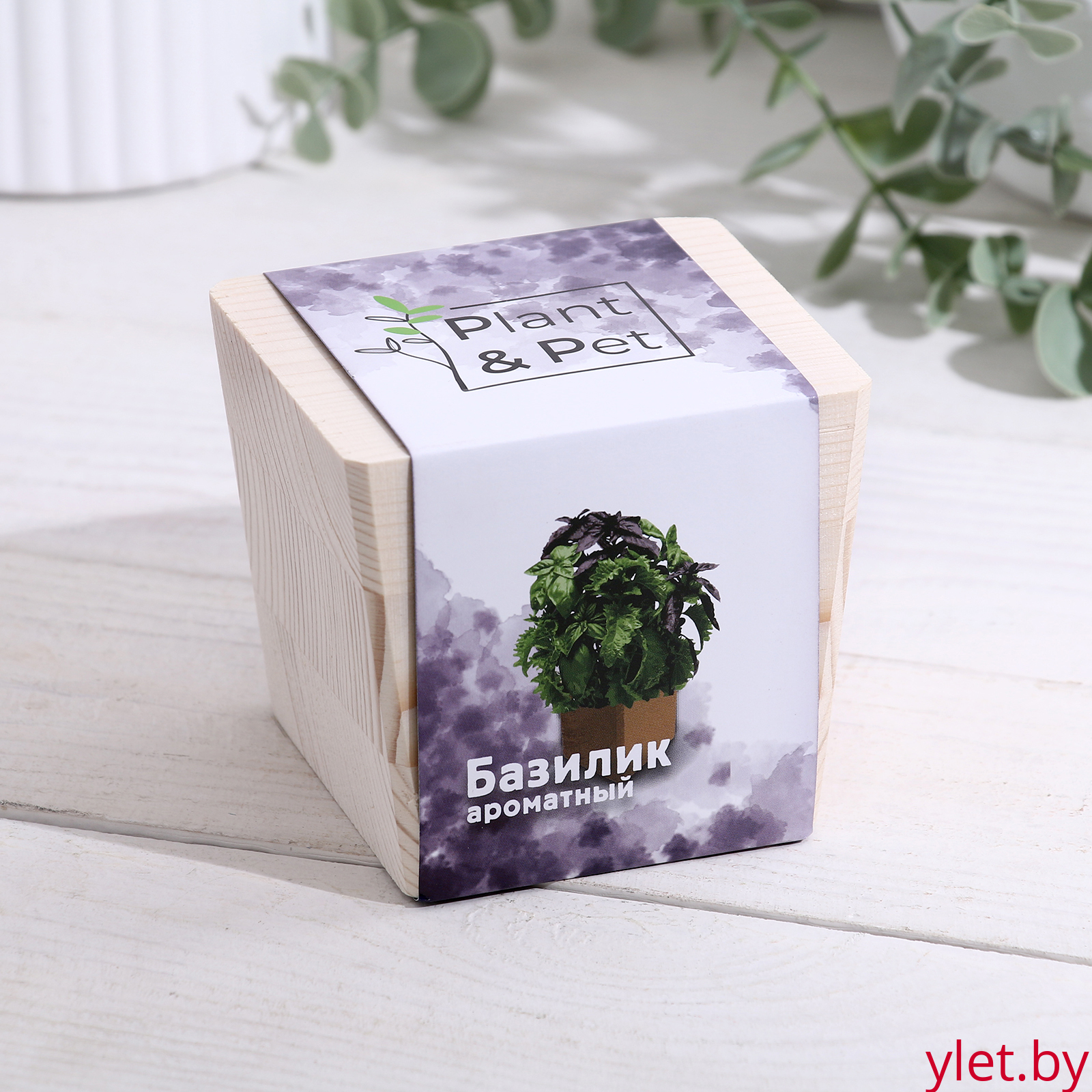 Набор для выращивания "Базилик ароматный"