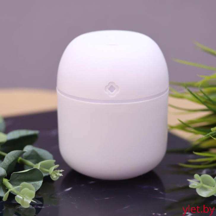 Настольный увлажнитель воздуха - ночник "Lucky flower", white, (портативный, USB)