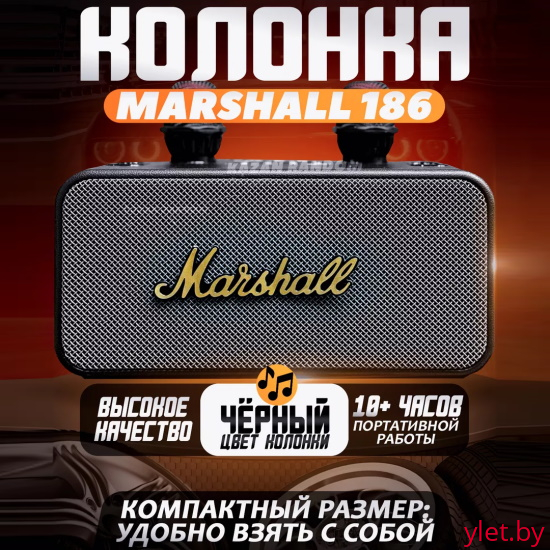 Портативная караоке колонка Marshall KMS-186 Pro с двумя микрофонами