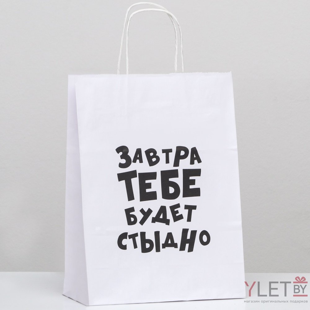 Пакет подарочный Завтра тебе будет стыдно, 24 х 10.5 х 32 см