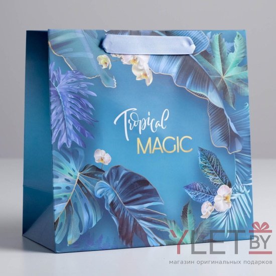 Пакет ламинированный квадратный Magic, 22 × 22 × 11 см