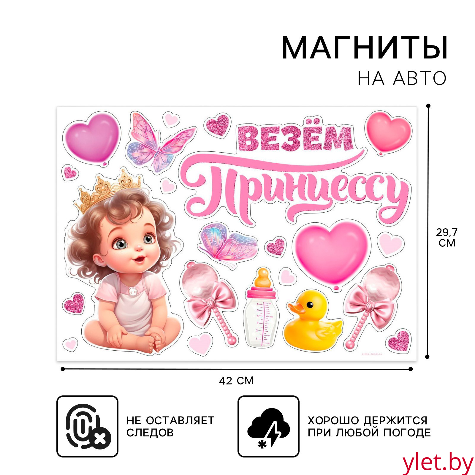 Набор магнитов на авто «Везем принцессу», на выписку, 42 см х 29,7 с