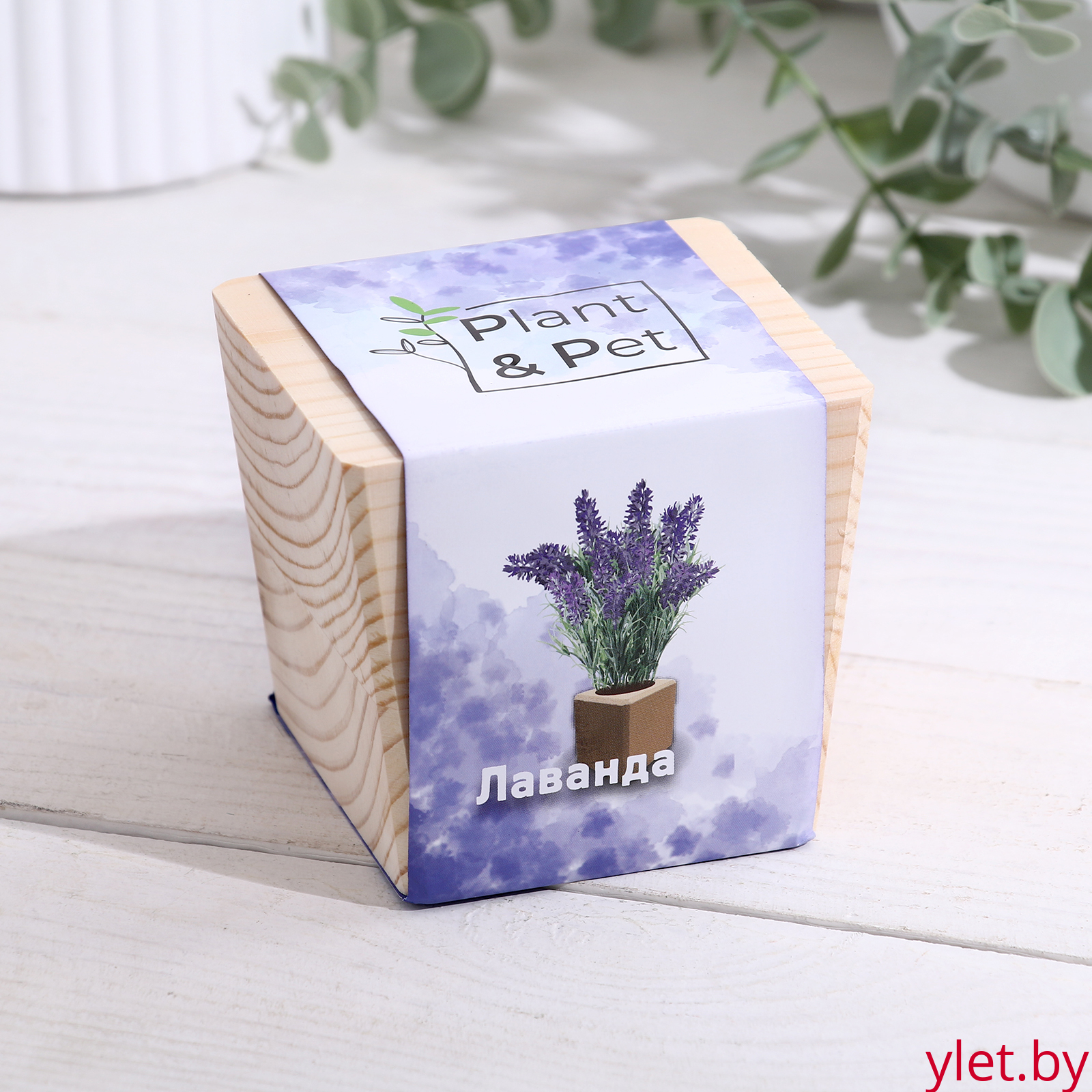 Набор для выращивания "Лаванда"
