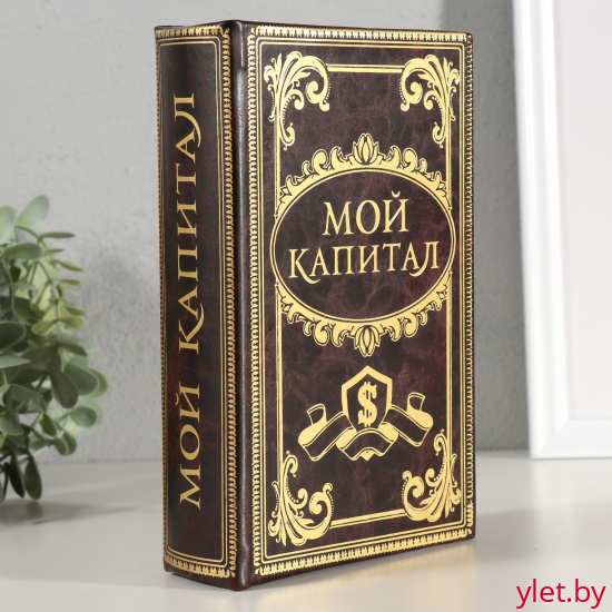 Сейф книга Мой капитал 21х13х5 см