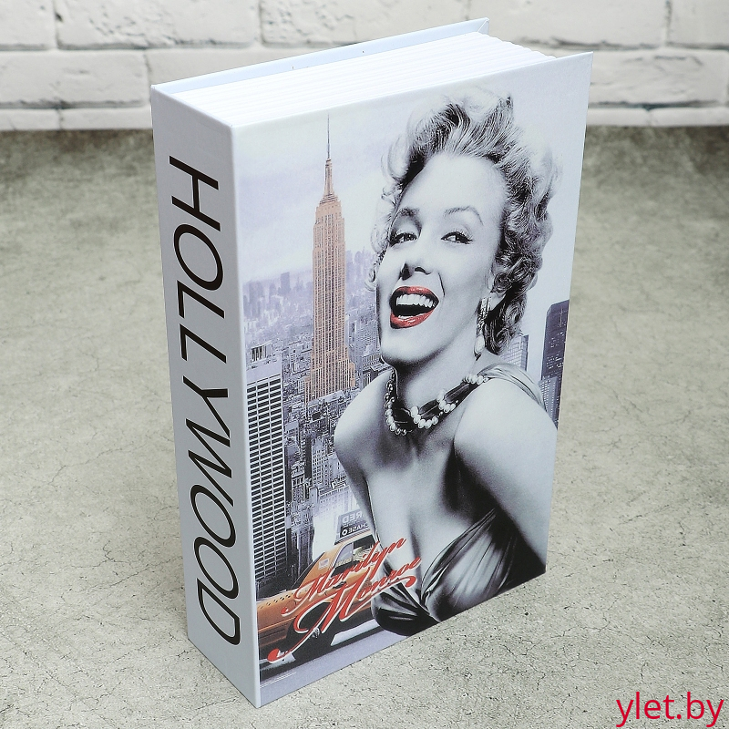 Книга сейф Мерлин 24*16 см.