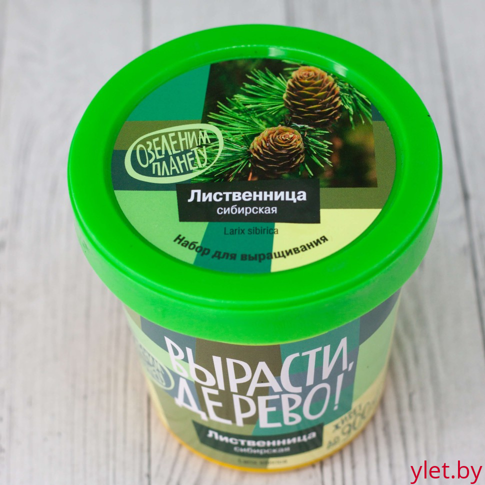 Набор для выращивания "Лиственница сибирская"