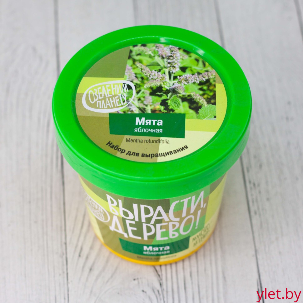 Набор для выращивания "Мята яблочная"