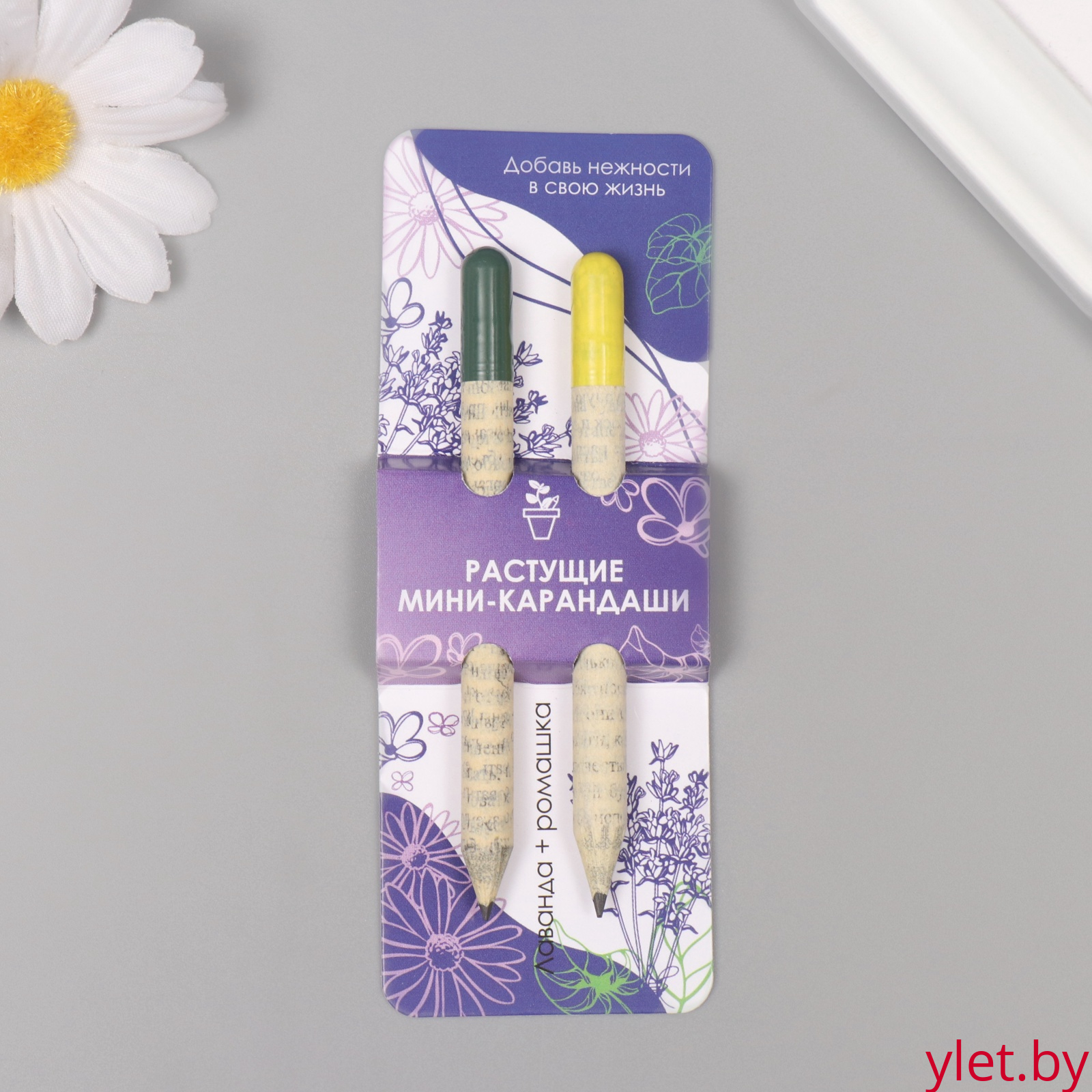 Растущие карандаши подарочные «Лаванда + Ромашка» 2 шт.