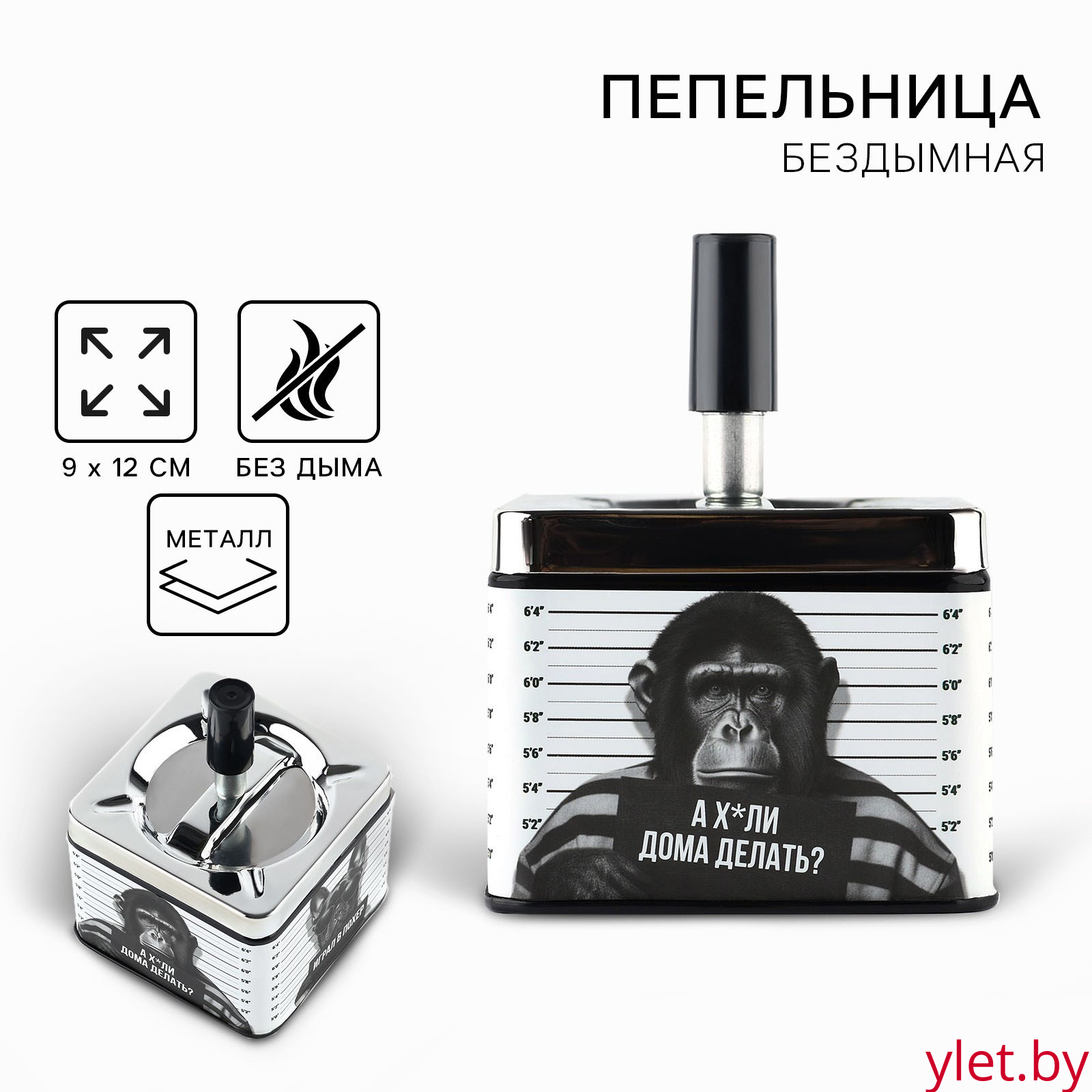 Пепельница бездымная «Наводил суету», 12 х 9 см.