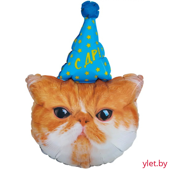 Шар (32''/81 см) Фигура, Котик в колпачке ДР