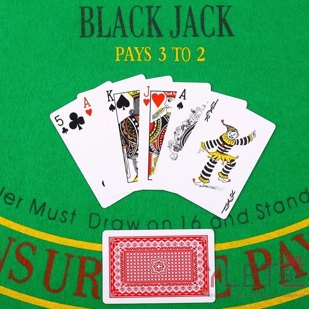 Карты игральные пластиковые Royal, 54 шт