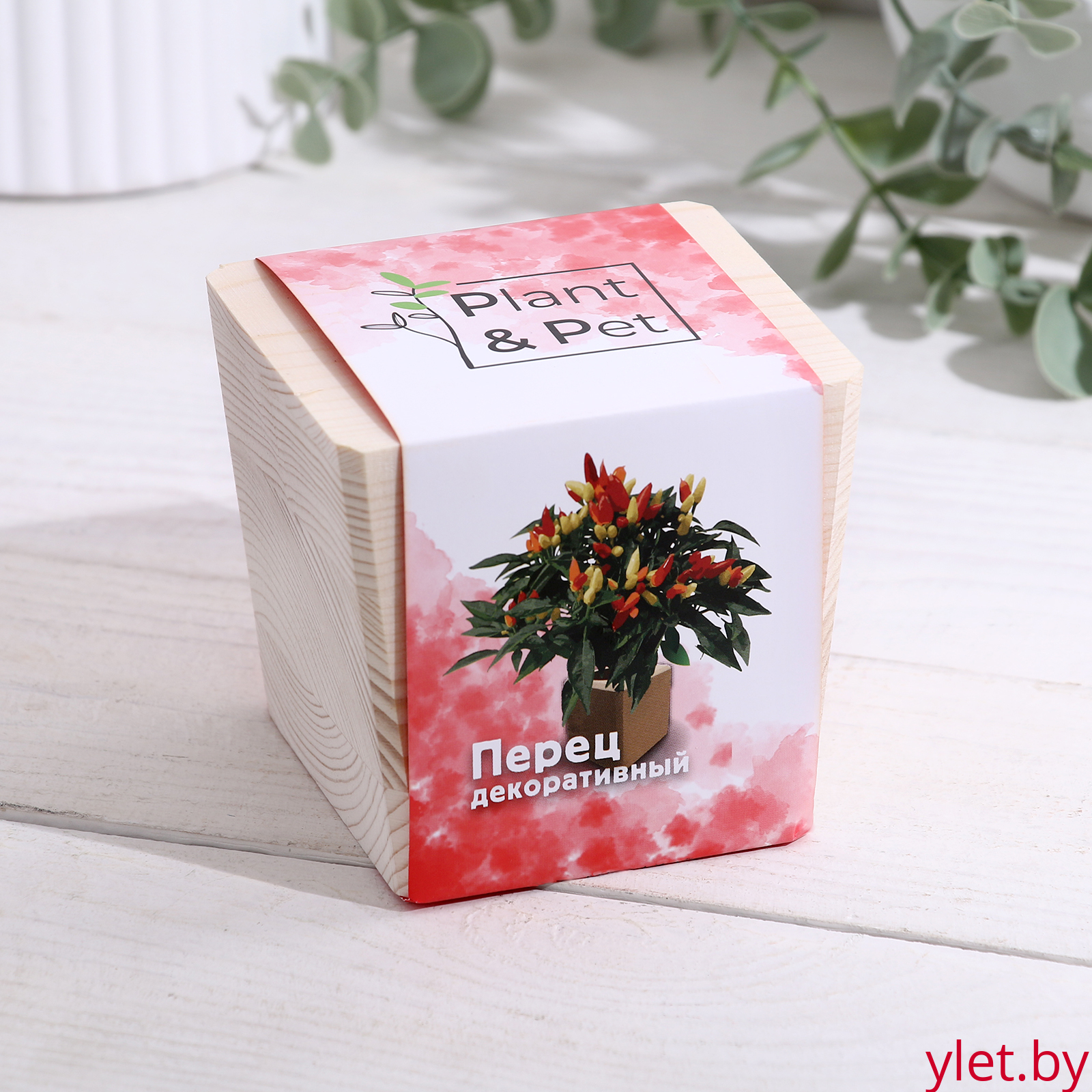 Набор для выращивания "Перчик декоративный"