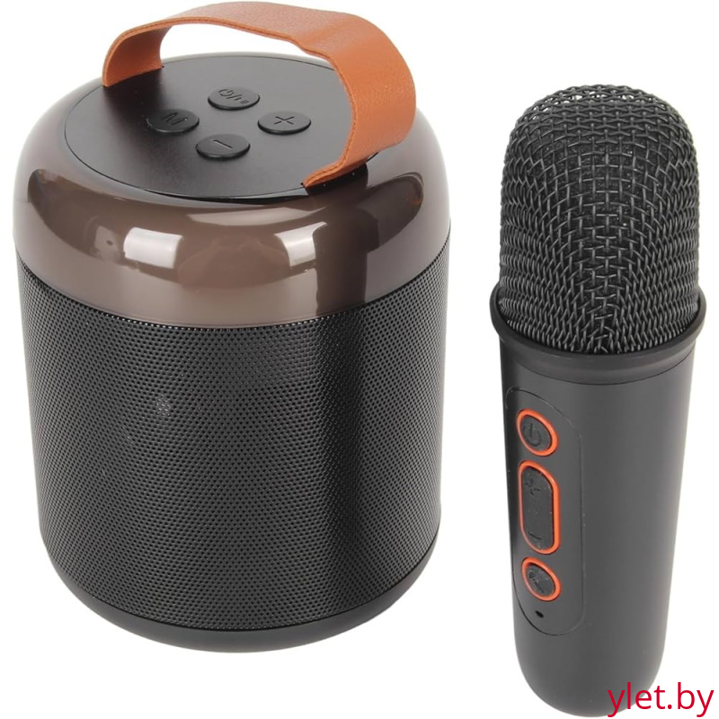 Караоке колонка Bluetooth с микрофоном Черная