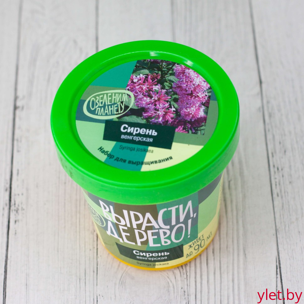 Набор для выращивания "Сирень венгерская"
