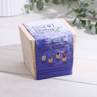 Набор для выращивания "Лаванда"