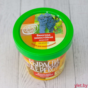 Набор для выращивания "Виноград амурский"