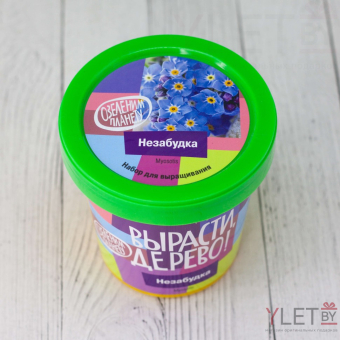 Набор для выращивания "Незабудка"