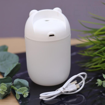 Настольный увлажнитель воздуха -  ночник "Bear", white, (портативный, USB)