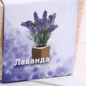Набор для выращивания "Лаванда"