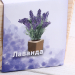 Набор для выращивания "Лаванда"