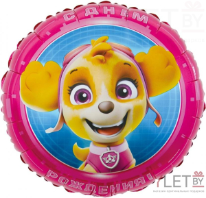 Шар (18''/46 см) Круг, Щенячий Патруль, С Днем Рождения! Розовый