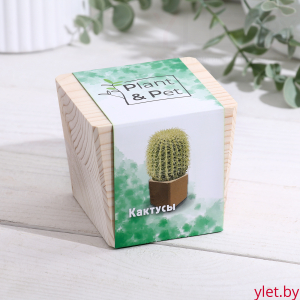 Набор для выращивания "Кактусы"