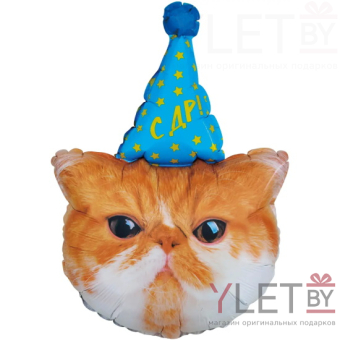 Шар (32''/81 см) Фигура, Котик в колпачке ДР