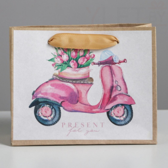 Пакет крафтовый горизонтальный Present for you 15 х 12 х 5.5 см