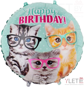 Шар (18''/46 см) Круг, С Днем Рождения, милые котята в очках