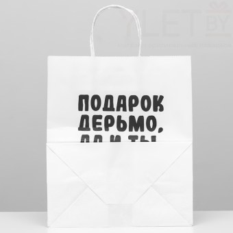 Пакет подарочный Ты не очень 24 х 14 х 30 см
