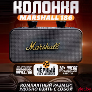 Портативная караоке колонка Marshall KMS-186 Pro с двумя микрофонами