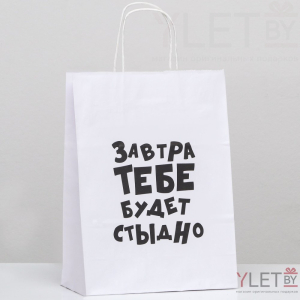 Пакет подарочный Завтра тебе будет стыдно, 24 х 10.5 х 32 см