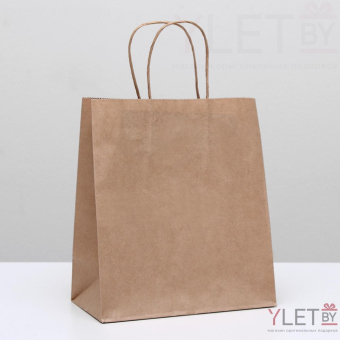 Пакет крафт без печати, круглая ручка 22 х 12 х 25 см
