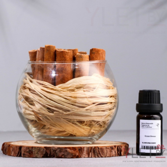 Набор ароматический: ваза-саше с корицей, ароматическое масло "Шалфей и морская соль", 10 мл 