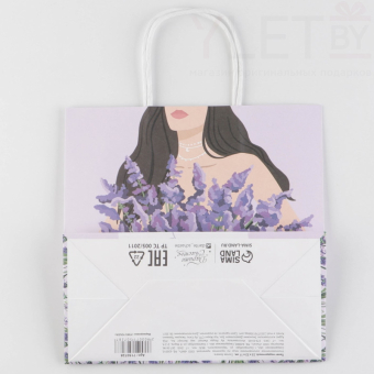 Пакет подарочный Если бы 22 х 22 х 11 см