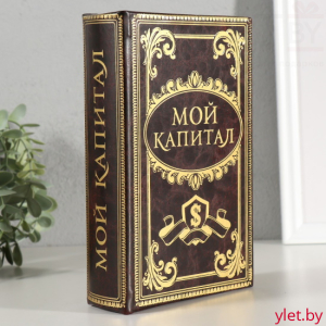 Сейф книга Мой капитал 21х13х5 см