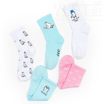 Набор женских носков KAFTAN "Gussi“ 5 пар, р. 36-39 (23-25 см)