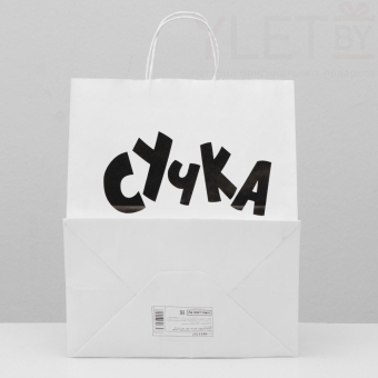 Пакет подарочный Крашенная 24 х 10.5 х 32 см