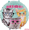 Шар (18''/46 см) Круг, С Днем Рождения, милые котята в очках