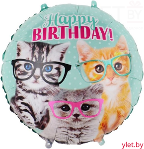 Шар (18''/46 см) Круг, С Днем Рождения, милые котята в очках
