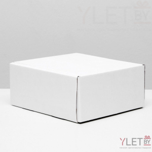 Коробка самосборная без окна 19 х 19 х 9 см белая