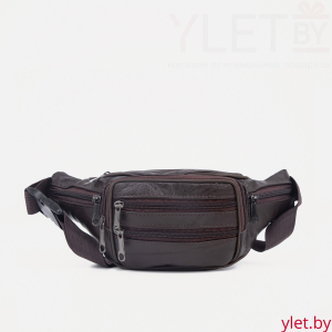 Сумка поясная "Престиж" на молнии, 22*6*12 см, 5 наружных карманов, коричневый