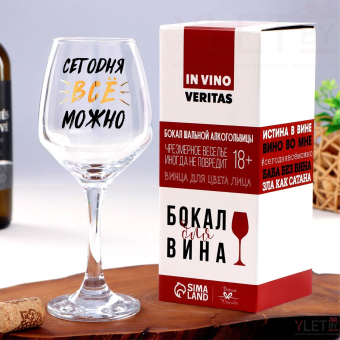 Бокал для вина «Можно все», 350 мл