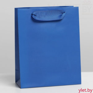 Пакет ламинированный Синий, S 12 × 15 × 5,5 см