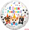 Шар (18''/46 см) Круг, Собачки, С Днем Рождения! 