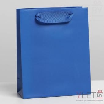 Пакет ламинированный Синий, S 12 × 15 × 5,5 см