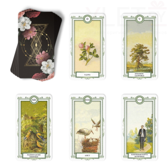 Таро Оракул Ленорман, 36 карт, 16+