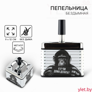 Пепельница бездымная «Наводил суету», 12 х 9 см.