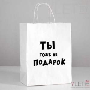 Пакет подарочный с приколами Ты тоже не подарок, 24 х 10.5 х 32 см