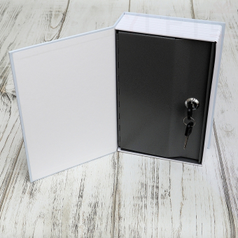 Книга сейф Мерлин 24*16 см.